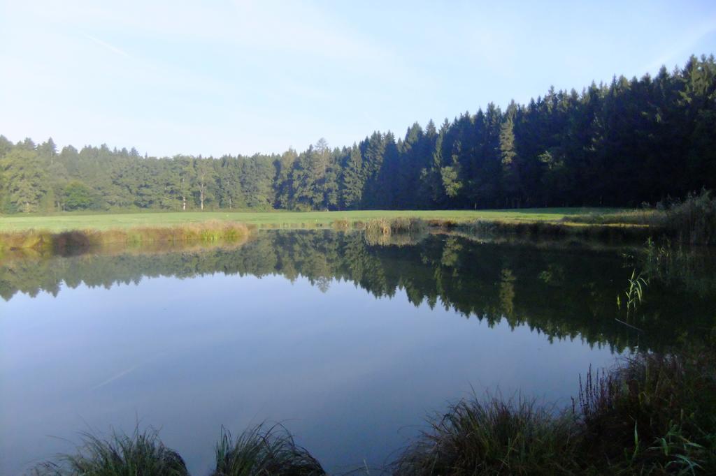 Zehentmayrhof Obing Zimmer foto